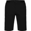Haglöfs Men's L.I.M Fuse Shorts